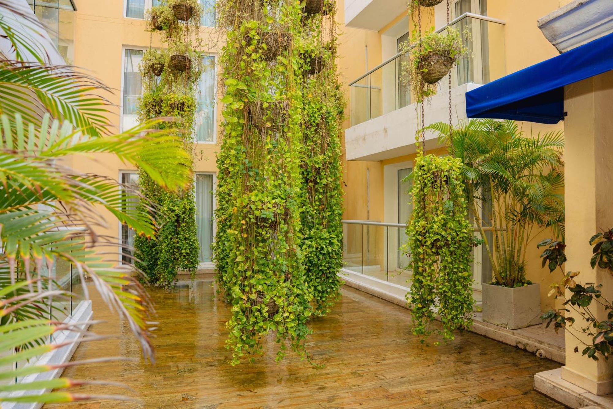 Nacar Cartagena, Curio Collection By Hilton